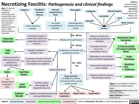 necrotizing fasciitis pathophysiology